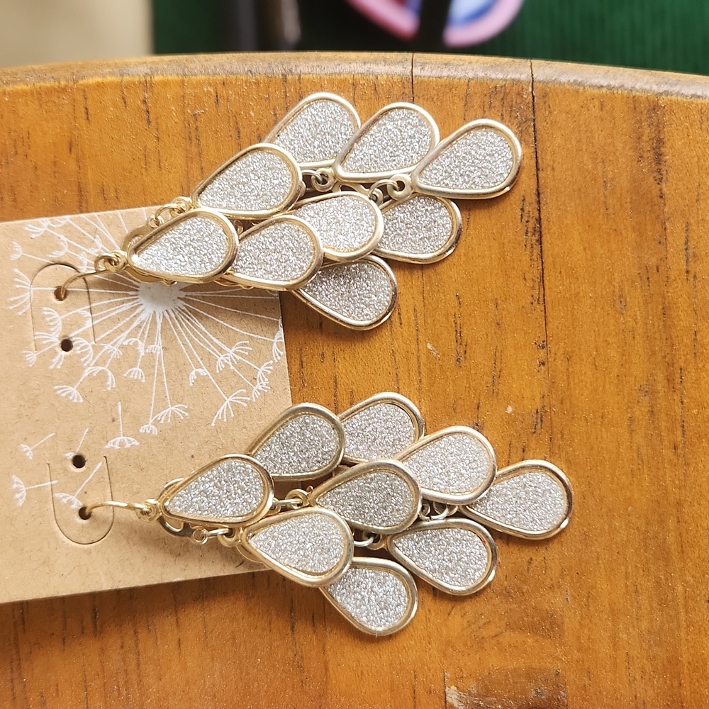 Women's Earrings NWT